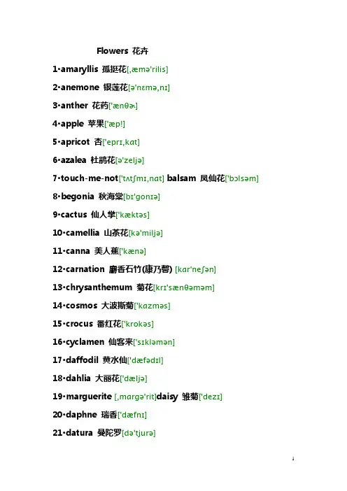 花名及花名英文