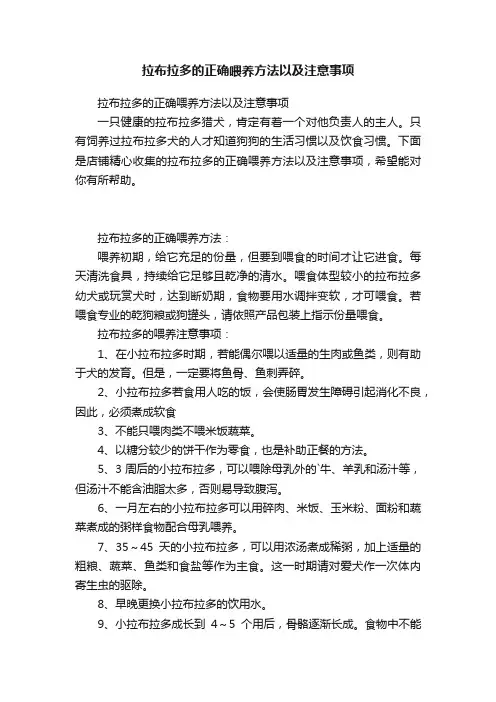 拉布拉多的正确喂养方法以及注意事项
