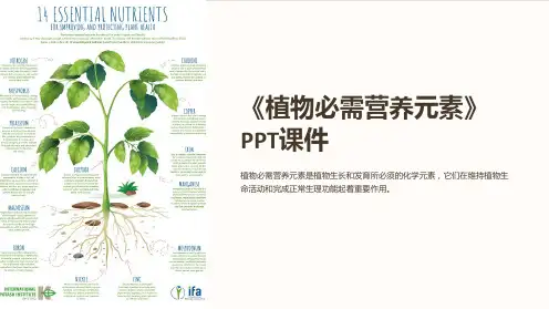 《植物必需营养元素》课件