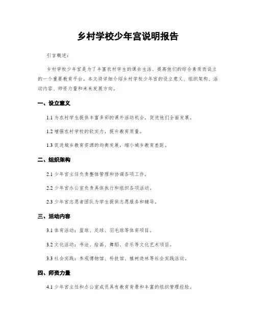 乡村学校少年宫说明报告