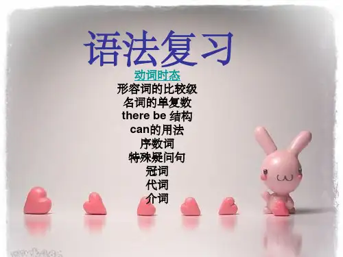 小学六年级英语语法总复习PPT课件
