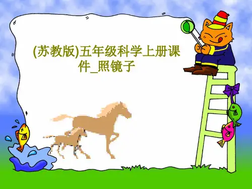 (苏教版)五年级科学上册课件_照镜子共29页文档