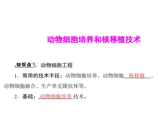 动物细胞培养和核移植技术  课件