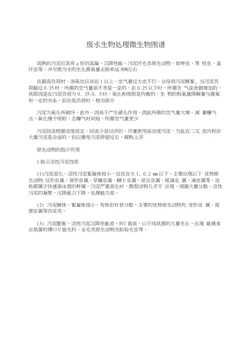 废水生物处理微生物图谱