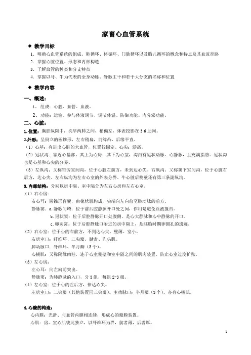 家畜心血管系统教案