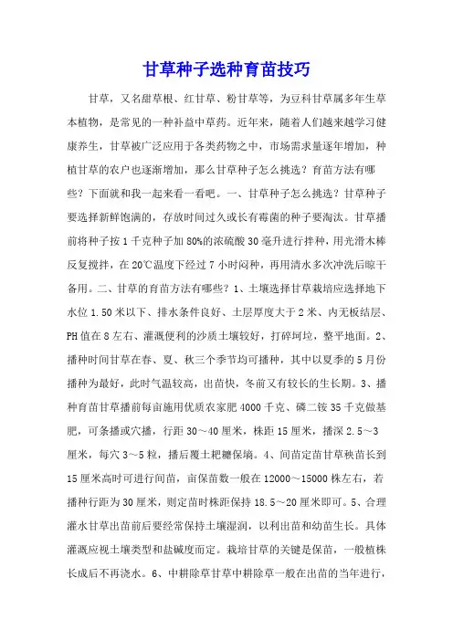 甘草种子选种育苗技巧