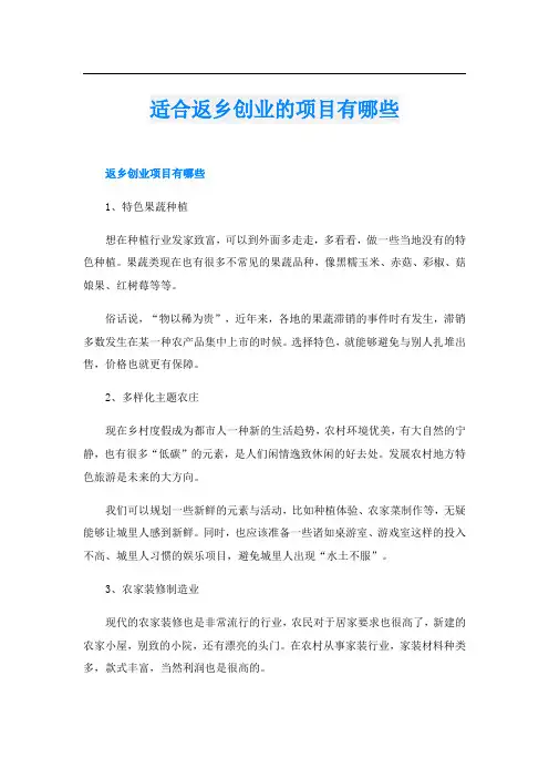 适合返乡创业的项目有哪些