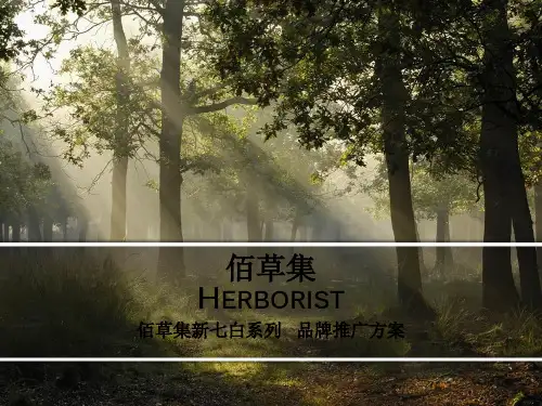佰草集 品牌推广方案