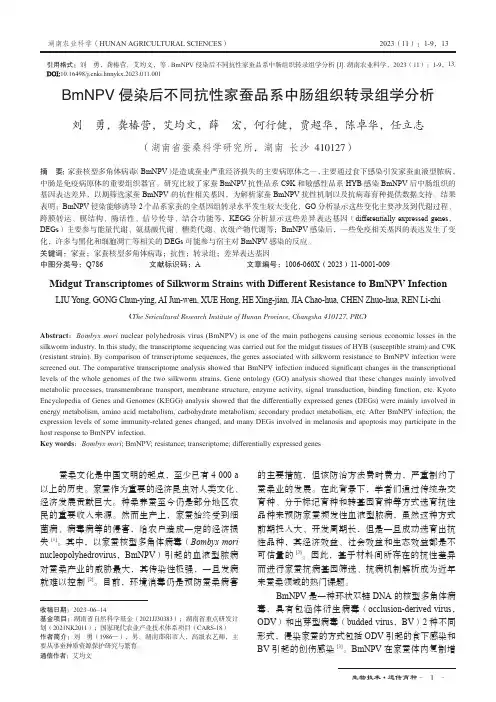 BmNPV_侵染后不同抗性家蚕品系中肠组织转录组学分析