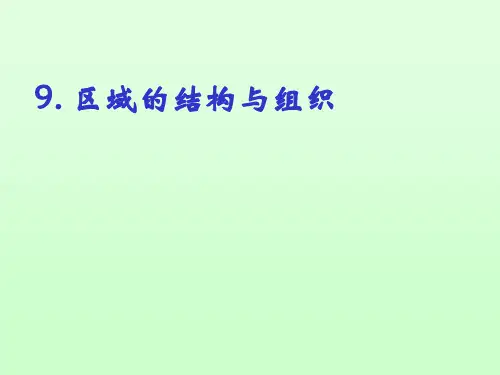 9.区域的结构与组织