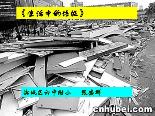 《生活中的垃圾》课件