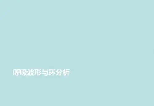 呼吸波形与环