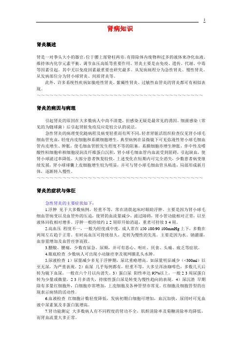 肾病知识