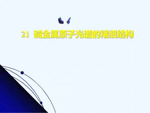 21_碱金属原子光谱的精细结构.ppt