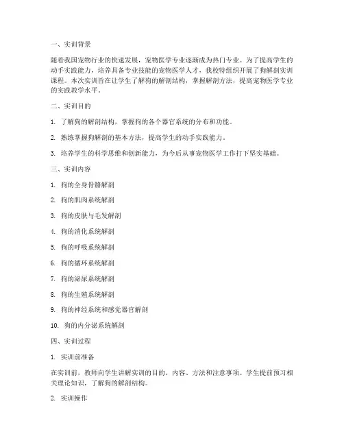 实训报告狗解剖