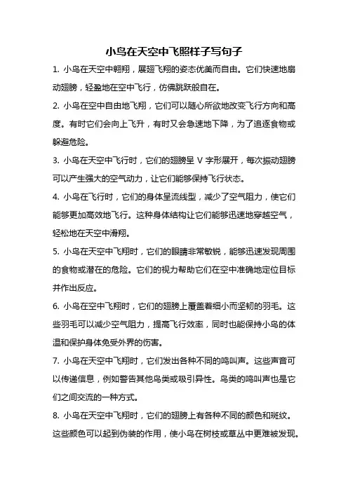 小鸟在天空中飞照样子写句子