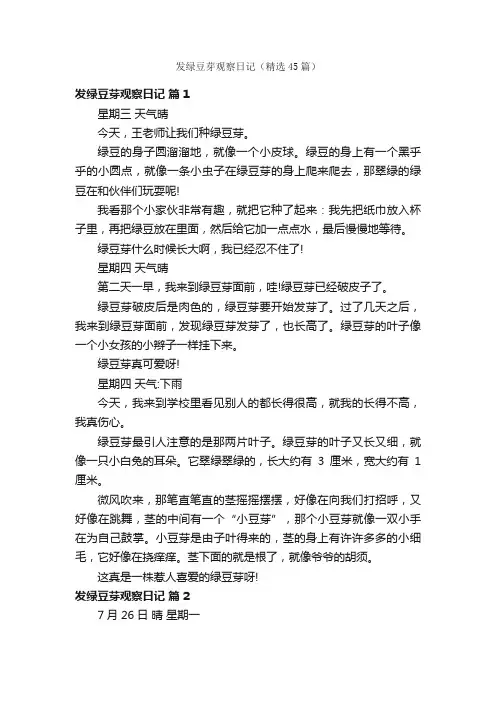 发绿豆芽观察日记（精选45篇）