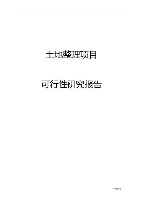 土地整理项目可行性研究报告