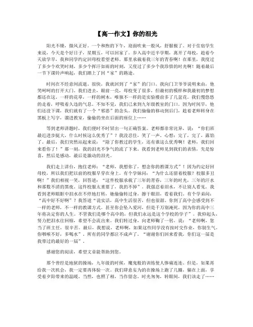 【高一作文】你的泪光