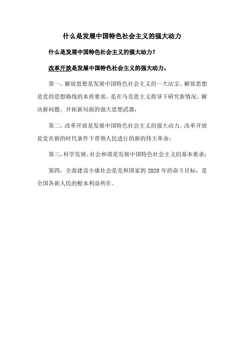 什么是发展中国特色社会主义的强大动力