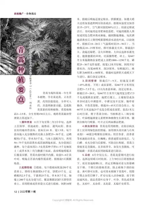 青蒿种植要点