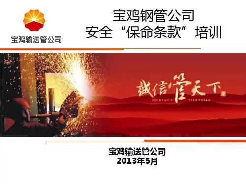 安全保命条款培训