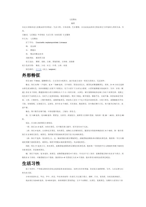七星瓢虫论文