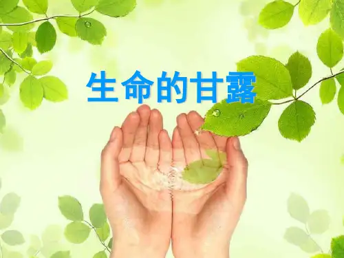 湘美版美术六年级(上册)-9.生命的甘露｜湘美版(2014秋)(共35张PPT)