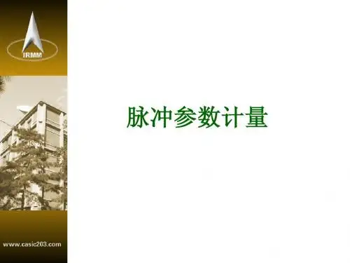 脉冲培训班讲课