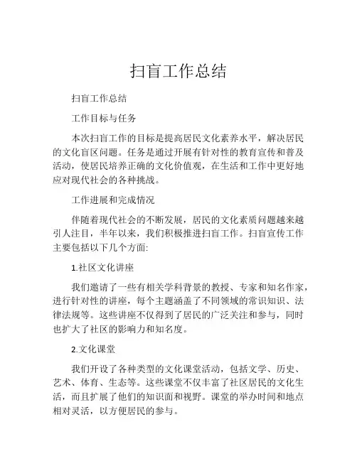 扫盲工作总结 (2)