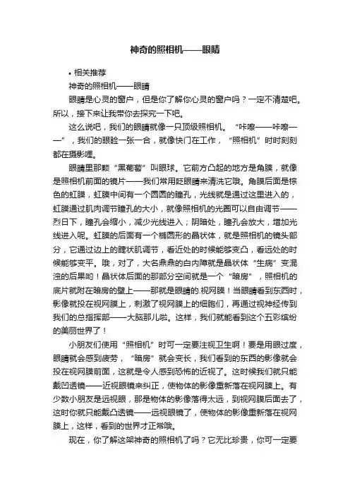 神奇的照相机——眼睛