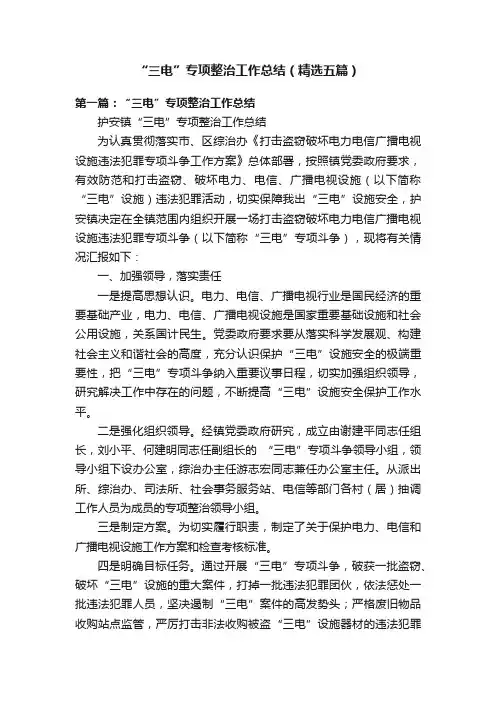 “三电”专项整治工作总结（精选五篇）
