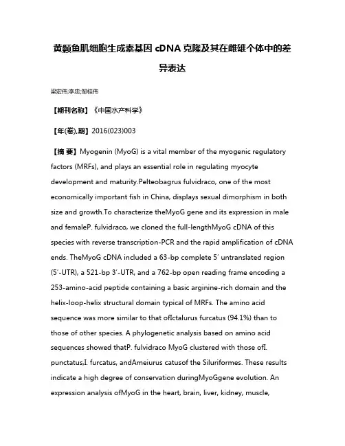 黄颡鱼肌细胞生成素基因cDNA克隆及其在雌雄个体中的差异表达