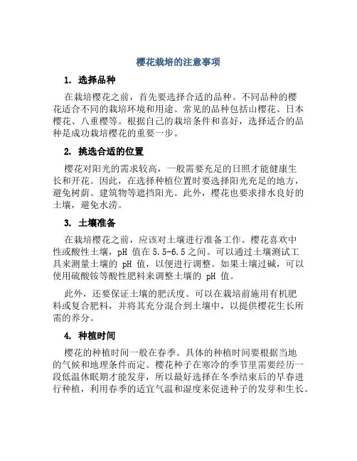 樱花栽培的注意事项
