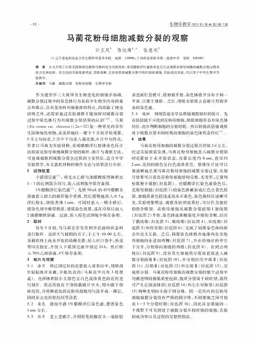 马蔺花粉母细胞减数分裂的观察