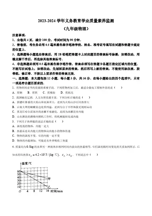 山东省德州市陵城区2023-2024学年九年级上学期期中考试物理试题(含答案)