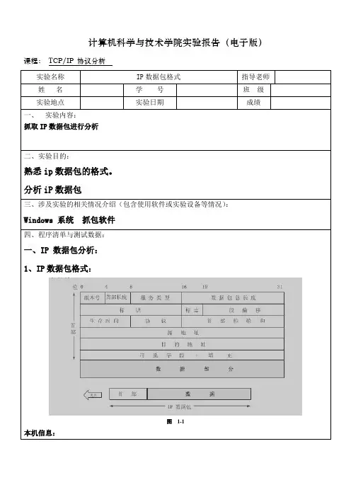 IP数据报文分析