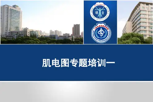 肌电图-H反射与F波的区别