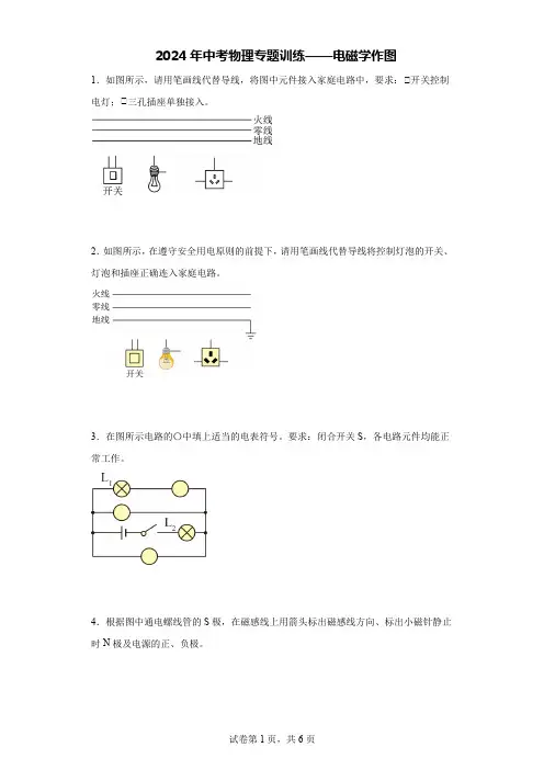 2024年中考物理二轮专题训练——电磁学作图