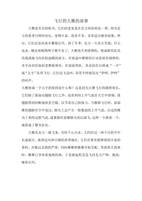 飞行的大雁的故事