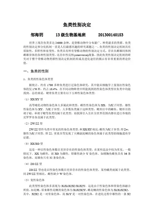 鱼类性别决定