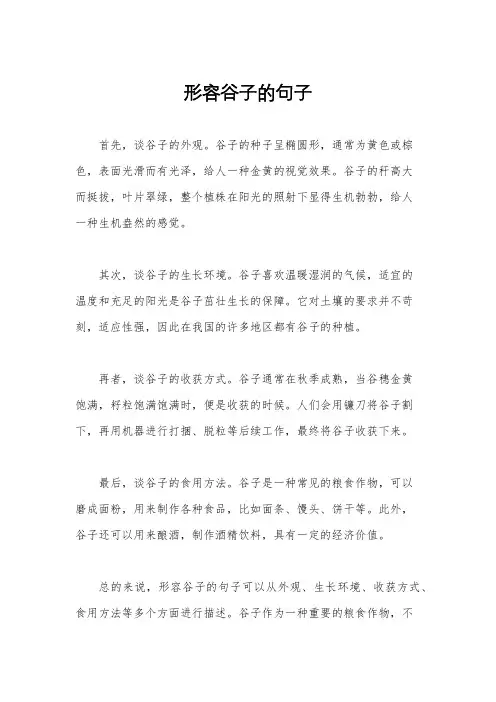形容谷子的句子