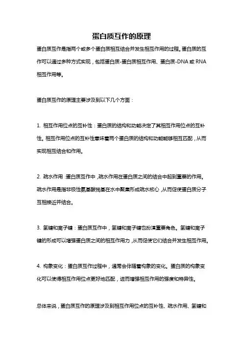 蛋白质互作的原理