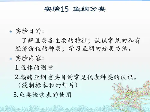 实验15鱼纲分类