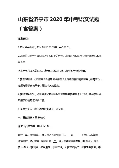 (全)山东省济宁市2020年中考语文试题(含答案)