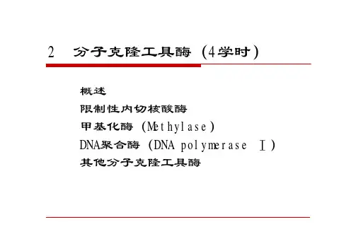 第二章 分子克隆工具酶