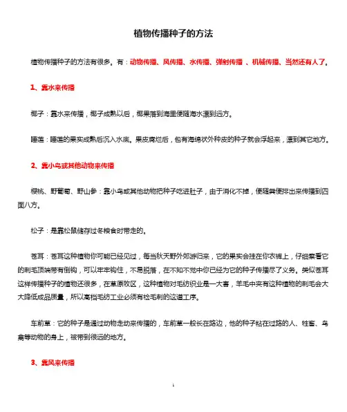 植物传播种子的方法(最齐全)