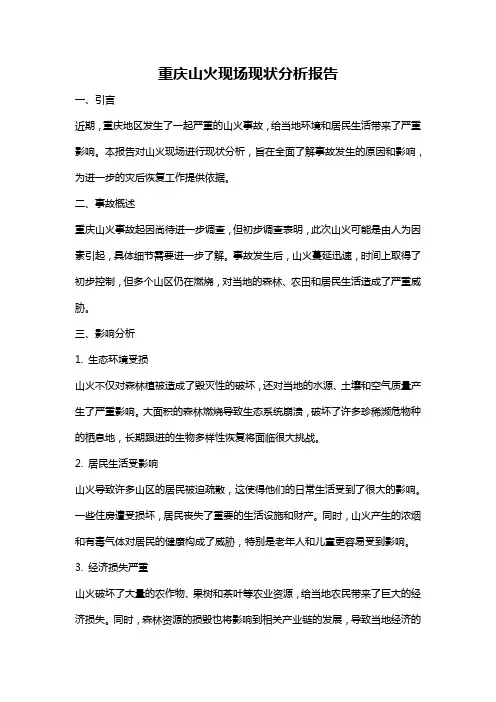 重庆山火现场现状分析报告
