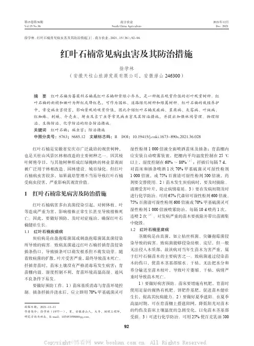 红叶石楠常见病虫害及其防治措施