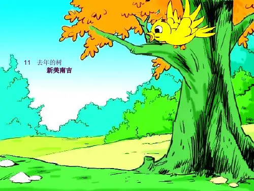 11.《去年的树》(完美版)ppt课件